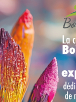 Expoition peinture-sculpture 2025