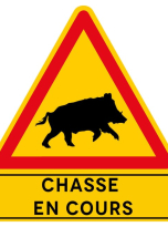 Chasse en cours