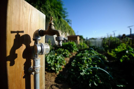 Robinet pour l'arrosage d'un jardin