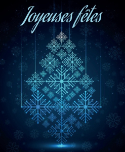 Joyeuses Fetes 2025