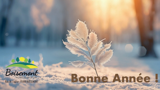 Meilleurs Voeux 2026