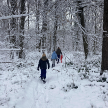 La petite troupe d'Anne en exploration