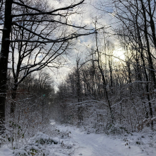 Chemin du massif de l'Hautil par Anne