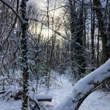Massif de l'Hautil sous la neige par Anne