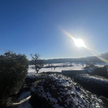 Le verger depuis la Grande rue par Louisa