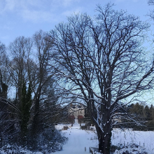 L'allée vers le château par Martine