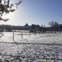 Le dècret par Yves L.