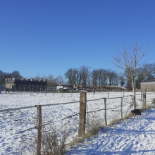 Le dècret par Yves L.