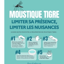 prévention moustique tigre
