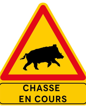 Chasse en cours