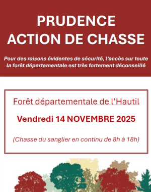 Chasse sangliers - 14 novmbre 2025